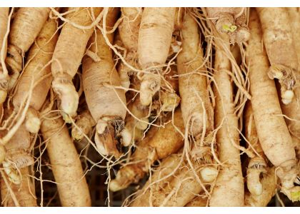 What Is Ginseng?