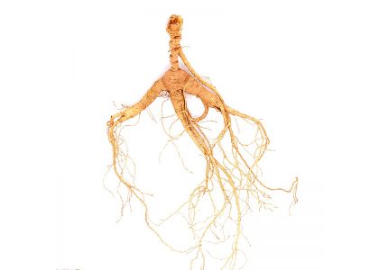 Discover the Essence of Jilin Ginseng