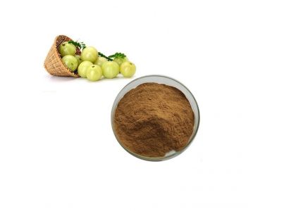 Experience the Power of Amla