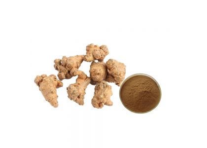 Unlock the Healing Power of Panax Notoginseng (Sanqi)