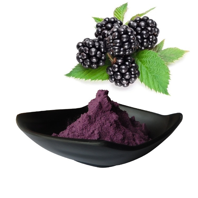 Blackberry Extract