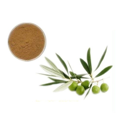 Olive Leaf Extract Powder