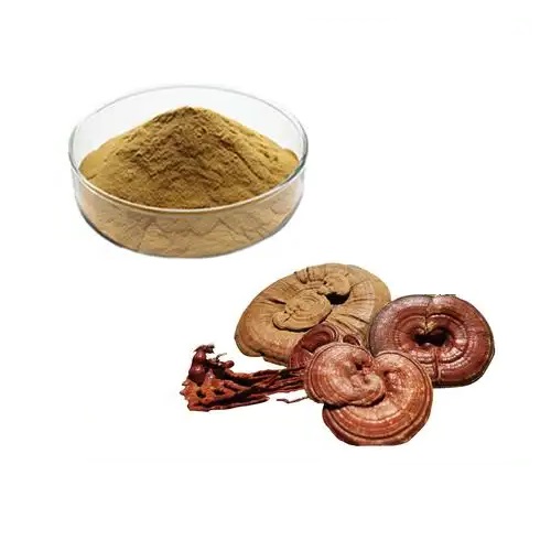 Reishi Mushroom Extract Powder