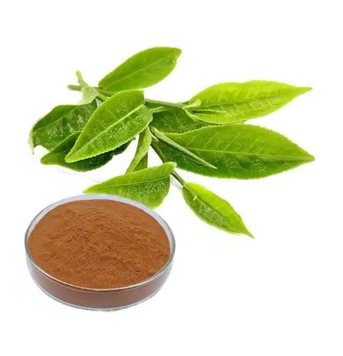Green Tea Extract