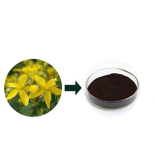 Saint John's Wort Extract