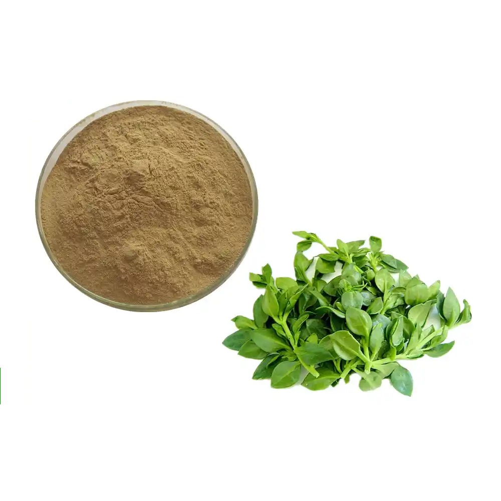 Andrographis Paniculata Extract