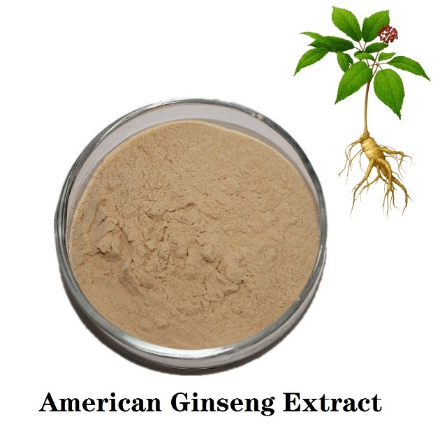 American Ginseng Extract Powder
