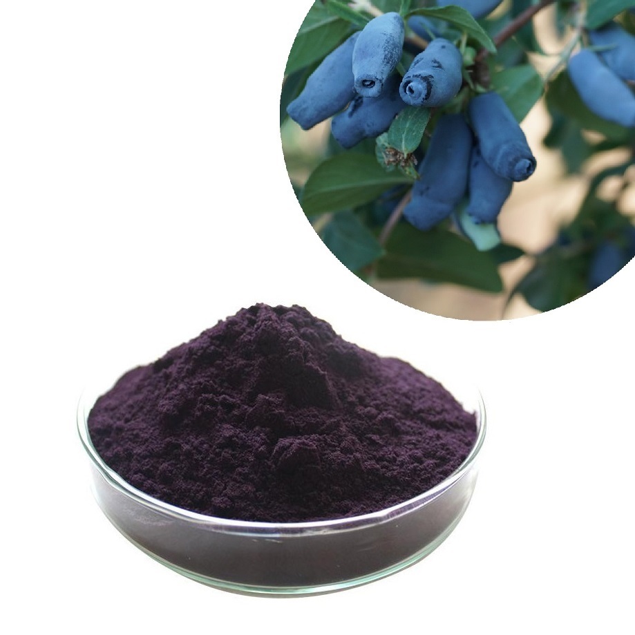 Lonicera Caerulea Extract