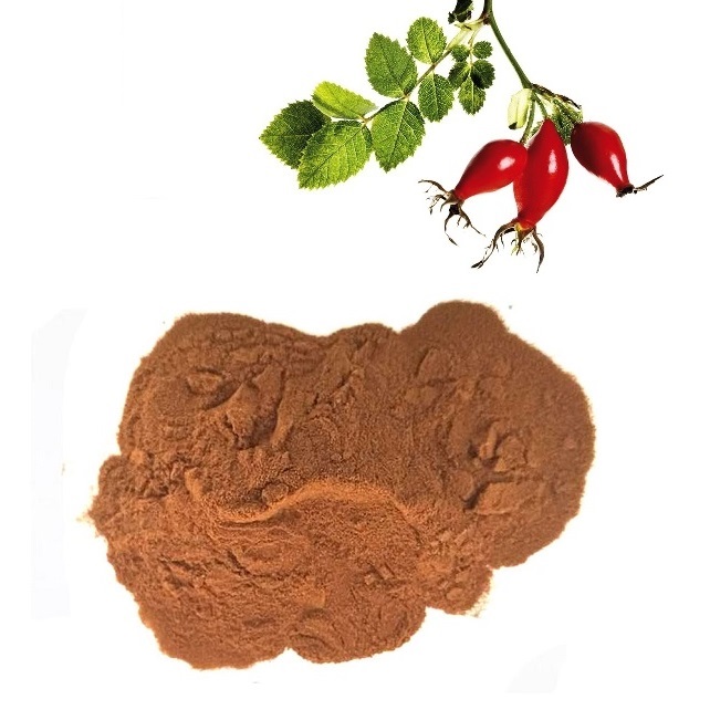 Rosehip Extract (Flavonoids)