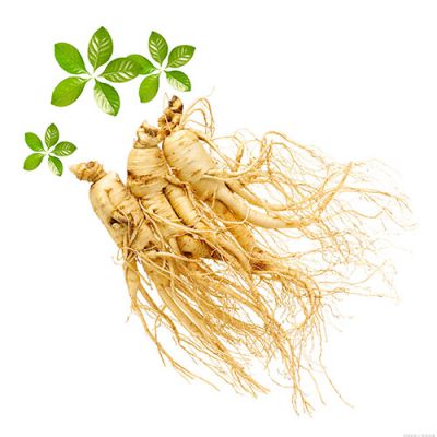 ANTI-AGING,ANTI-CANCER,ANTI-FATIQUE,IMMUNITY BOOSTING,MEN'S WELLNESS