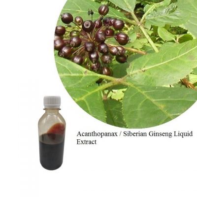IMMUNITY BOOSTING,MENTAL WELLNESS,SLEEP IMPROVEMENT