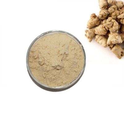 BLOOD WELLNESS,IMMUNITY BOOSTING,JOINTS & BONES WELLNESS