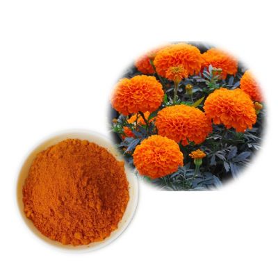 ANTI-OXIDANT,EYE WELLNESS