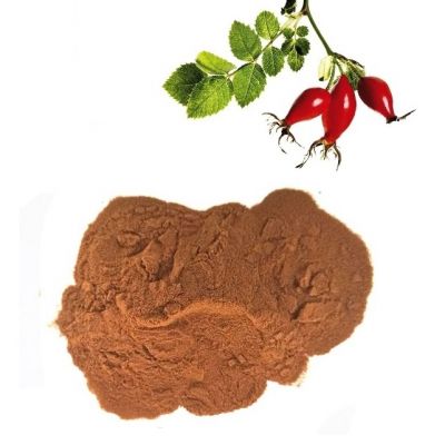 Rosehip Extract (Flavonoids)